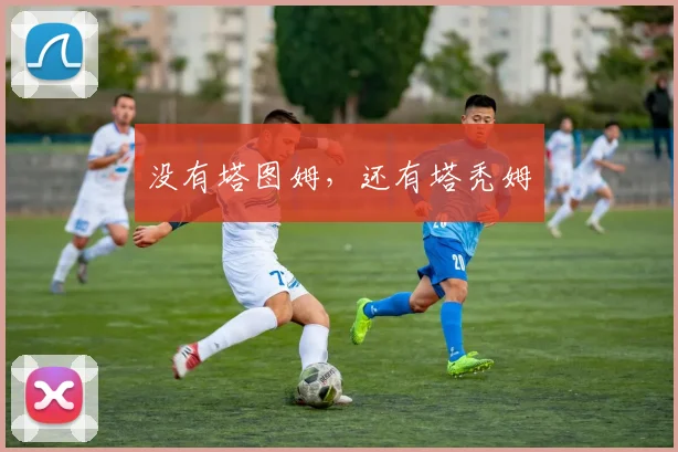 没有塔图姆，还有塔秃姆